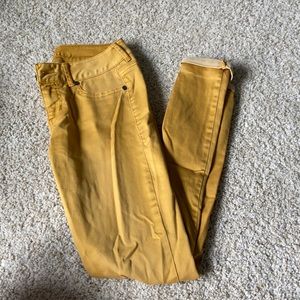 Maurices mustard jeans
